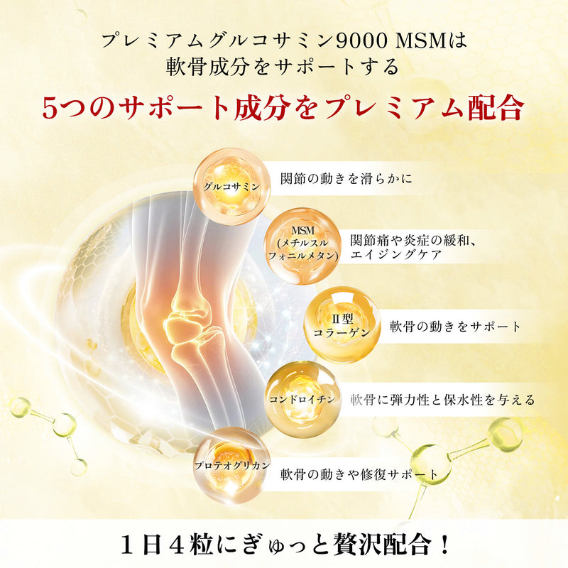 グルコサミン 9000 プレミアム MSM (120粒入り)