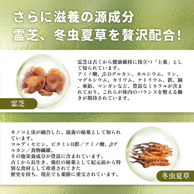 命宝 プレミアムメイホウフコイダン(90粒入り)